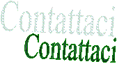 Contattaci
